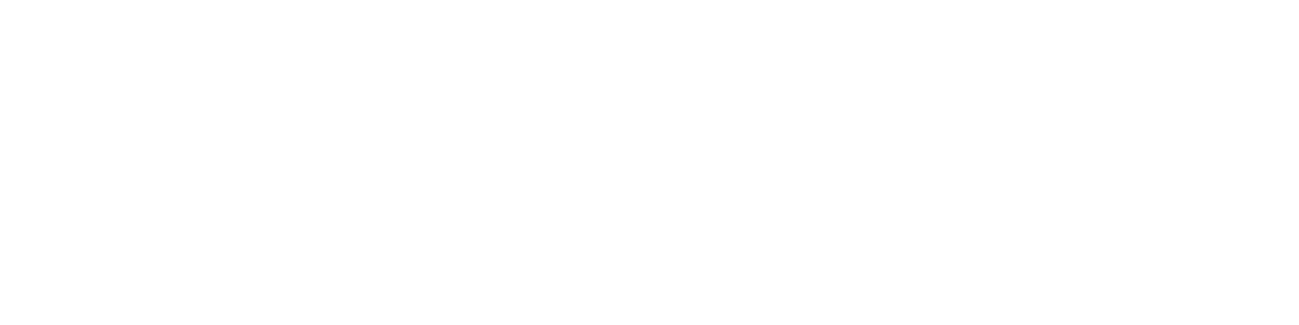 Demcon suster